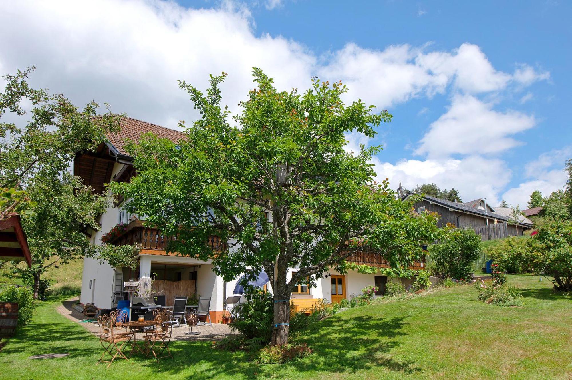 Ferienwohnung Blasi Mit Alpensicht Ibach 外观 照片