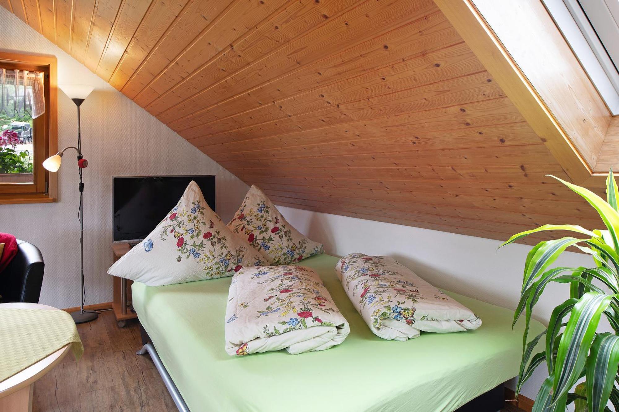 Ferienwohnung Blasi Mit Alpensicht Ibach 外观 照片